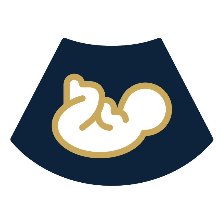 /espanol/abogados-de-lesiones-personales-en-el-sur-de-california/mala-praxis-medica/lesiones-de-nacimiento/hipoxia-fetal/