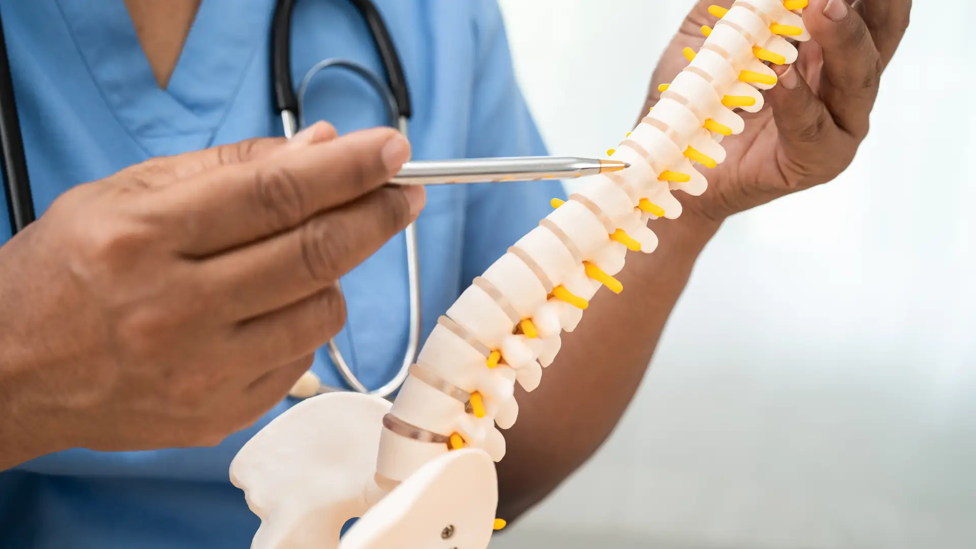 Doctor pointing at a model of the human spine.