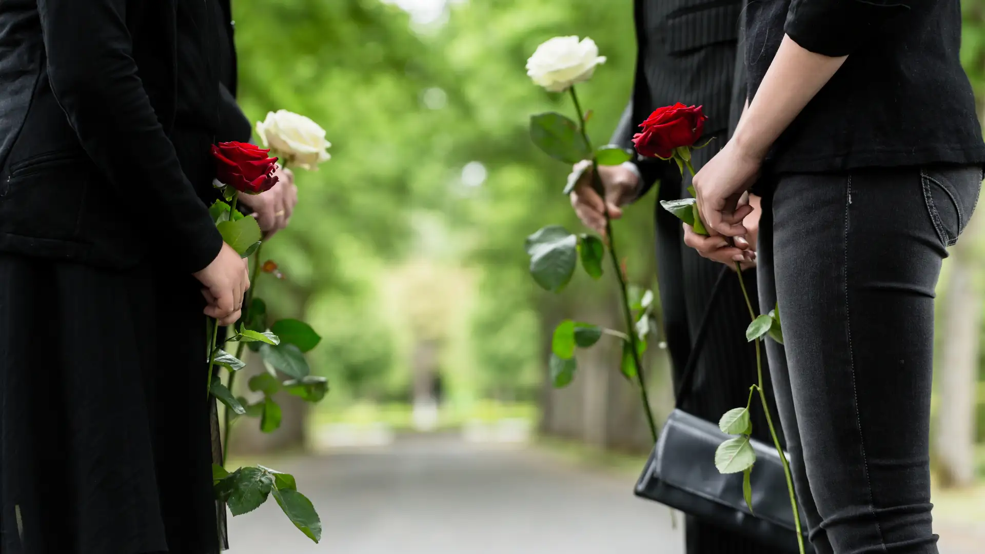 People holding red and white roses at a funeral, standing on a tree-lined pathway.