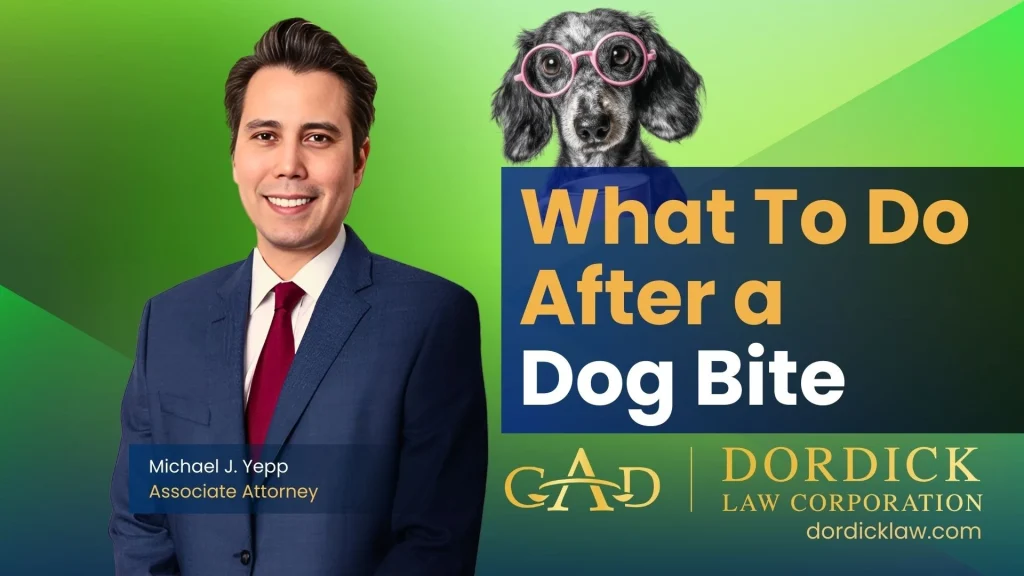 What To Do After a Dog Bite