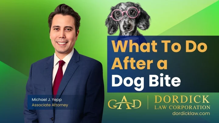 What To Do After a Dog Bite