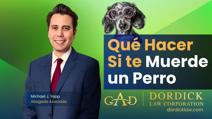 Qué Hacer Si te Muerde un Perro